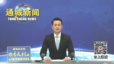 视频-通城县司法局开展全县基层法律服务工作者专题讨论活动