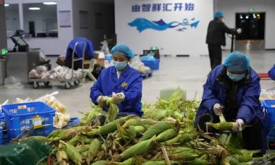五一保供不停歇｜通城智鲜汇公司全力保障校园食材配送