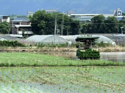 党建红领航耕种路 机械绿筑牢粮仓基丨通城县隽水镇上阔村以党建赋能中稻插秧生产
