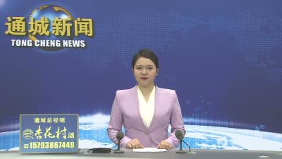 视频-黄建平主持召开县委常委会2026年第17次会议 