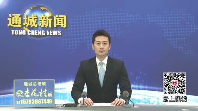 视频-通城县四庄乡清水村：以“莲”为引 绘就“廉景融合”新画卷