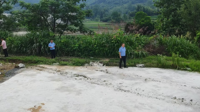 通城县塘湖镇综合执法中心拆除违法硬化地坪坚守耕地保护红线