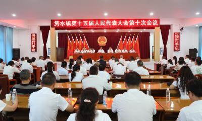 通城县隽水镇第十五届人民代表大会第十次会议召开  
