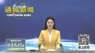 视频-通城县开展2026年防汛抢险综合演练 全面检验应急救援体系