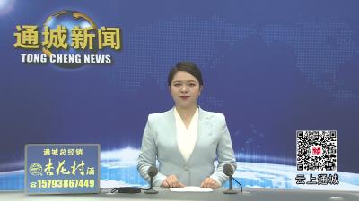 视频-通城县四庄乡清水村：移旧俗 育新风 润民生
