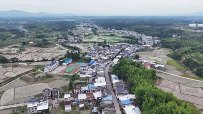 通城县四庄乡清水村：党建“引擎”轰鸣 乡村“蝶变”升级