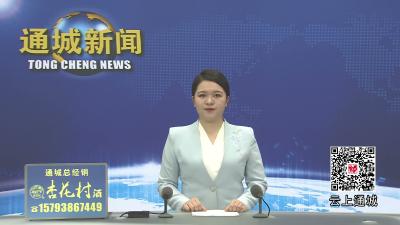 视频-通城县召开县委全面依法治县工作会议暨县委全面依法治县委员会第八次会议 