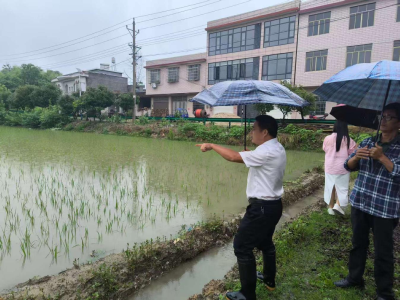 通城县石南镇石马村检查灾情督导灾后重建工作