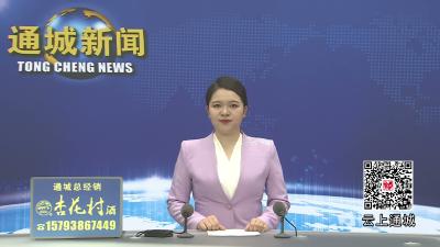 视频-通城县2026年度第三期“书记局长大讲堂”活动举行 