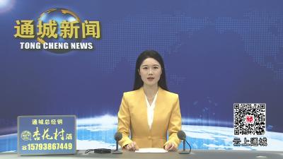 视频-“小小推介官”2026年通城县青少年红领巾讲解员交流活动初赛举行 