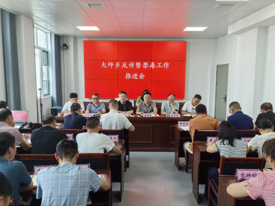 通城县大坪乡召开端午节期间反诈暨禁毒工作推进会