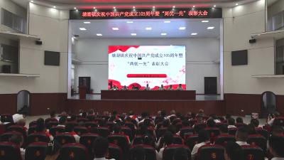 视频-通城县塘湖镇召开庆祝中国共产党成立105周年暨“两优一先”表扬大会 