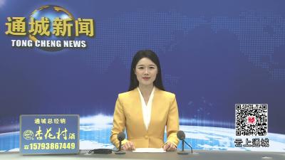 视频-通城县关刀镇召开庆祝中国共产党成立105周年暨“两优一先”表扬大会