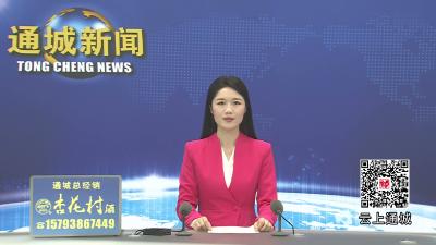 视频-咸宁市政协调研组来通城县开展文旅产业专题调研