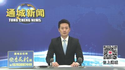 视频-通城县召开12345 热线工作专题推进会  
