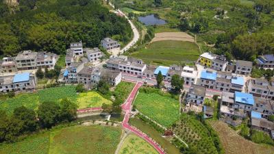 【看通城·乡村振兴】通城县四庄乡清水村：环境整治显成效 和美乡村展新颜