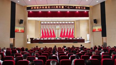视频-通城县沙堆镇召开庆祝中国共产党成立105周年暨“七一”表扬大会 