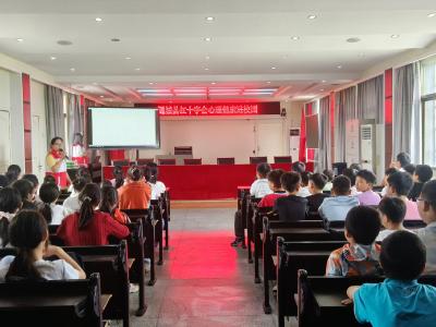 通城县红十字会心理健康宣讲走进关刀镇中心小学