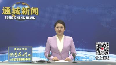视频-【人大代表在行动④】通城县大坪乡人大：代表下沉解民忧 履职一线惠民生 
