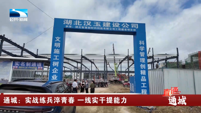 通城：实战练兵淬青春 一线实干提能力