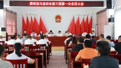 通城县马港镇商会换届暨第三届第一次会员代表大会举行