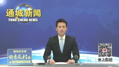 视频-通城县四庄乡清水村：党建“引擎”强劲，乡村“蝶变”升级