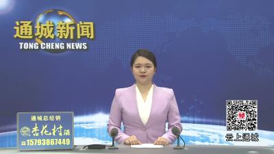 视频-通城县召开全县乡镇领导班子换届工作会