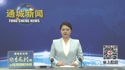 视频-通城县召开全县“群腐”和学习教育集中整治工作调度会