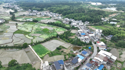 通城县四庄乡清水村：以“莲”为引，绘就“廉景融合”新画卷
