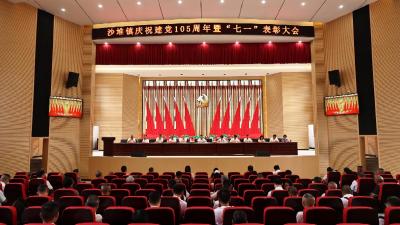 礼赞百年征程 | 通城县沙堆镇召开庆祝中国共产党成立105周年暨“七一”表彰大会