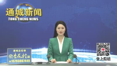 视频-粽香迎端午 政企暖康年｜通城县民政局联合中建三局开展端午慰问暨文艺演出活动 