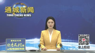视频-黄建平到隽水镇调研
