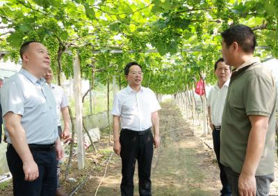 黄建平到隽水镇调研