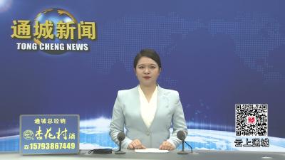 视频-三省交界好通商 通城跻身全国县域商业“领跑县”