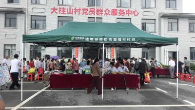 通城县沙堆镇联合通城邮政开展“助农直播村村行”活动