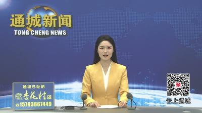 视频-通城县召开争创全国文明城市座谈会