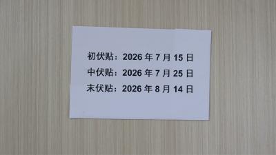 视频-通城：三伏初启 “冬病夏治”正当时 
