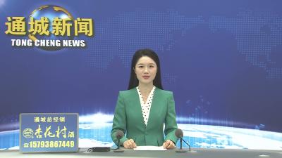 视频-黄建平主持召开县委常委会2026年第20次会议 