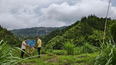 通城县麦市镇红石村：紧盯水域风险隐患 筑牢暑期防溺水安全防线