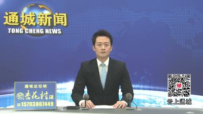 视频-通城县城管执法局：抓实绿化隐患整治 筑牢防汛防台风安全防线 