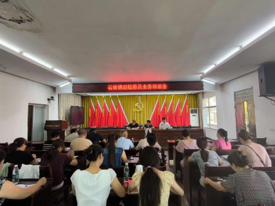 通城县石南镇召开村纪检委员业务培训会