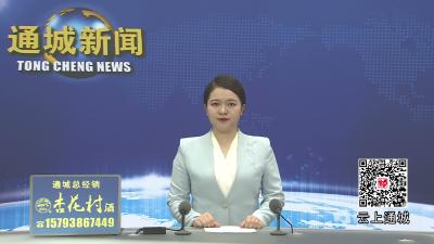 视频-通城县召开鄂湘赣商贸物流中心招商运营暨现代商贸物流高质量发展大会筹备工作会议 