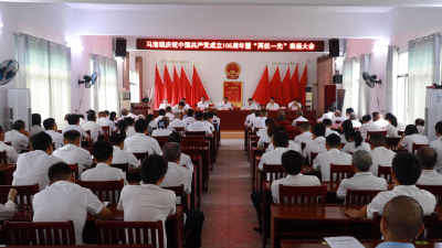 通城县马港镇召开庆祝中国共产党成立105周年暨“两优一先”表扬大会