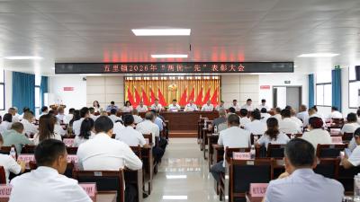 通城县五里镇召开庆祝中国共产党成立105周年暨“两优一先”表扬大会