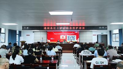 学急救技能 护群众周全｜通城县红十字会应急救护专题培训走进五里镇  
