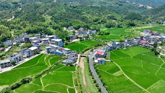 通城：185名科级干部下沉一线 当好防汛防台风排头兵