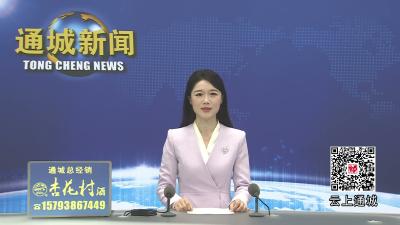 视频-【文明通城】督导排查促整改 通城县扎实推进全国文明城市创建