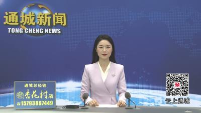 视频-通城县召开全县防汛防台风分析研判会 