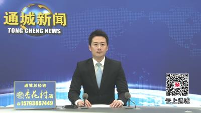 视频-通城县“初心杯”门球联赛开赛 