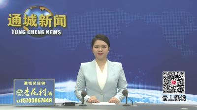 视频-通城县五里镇召开庆祝中国共产党成立105周年暨“两优一先”表扬大会